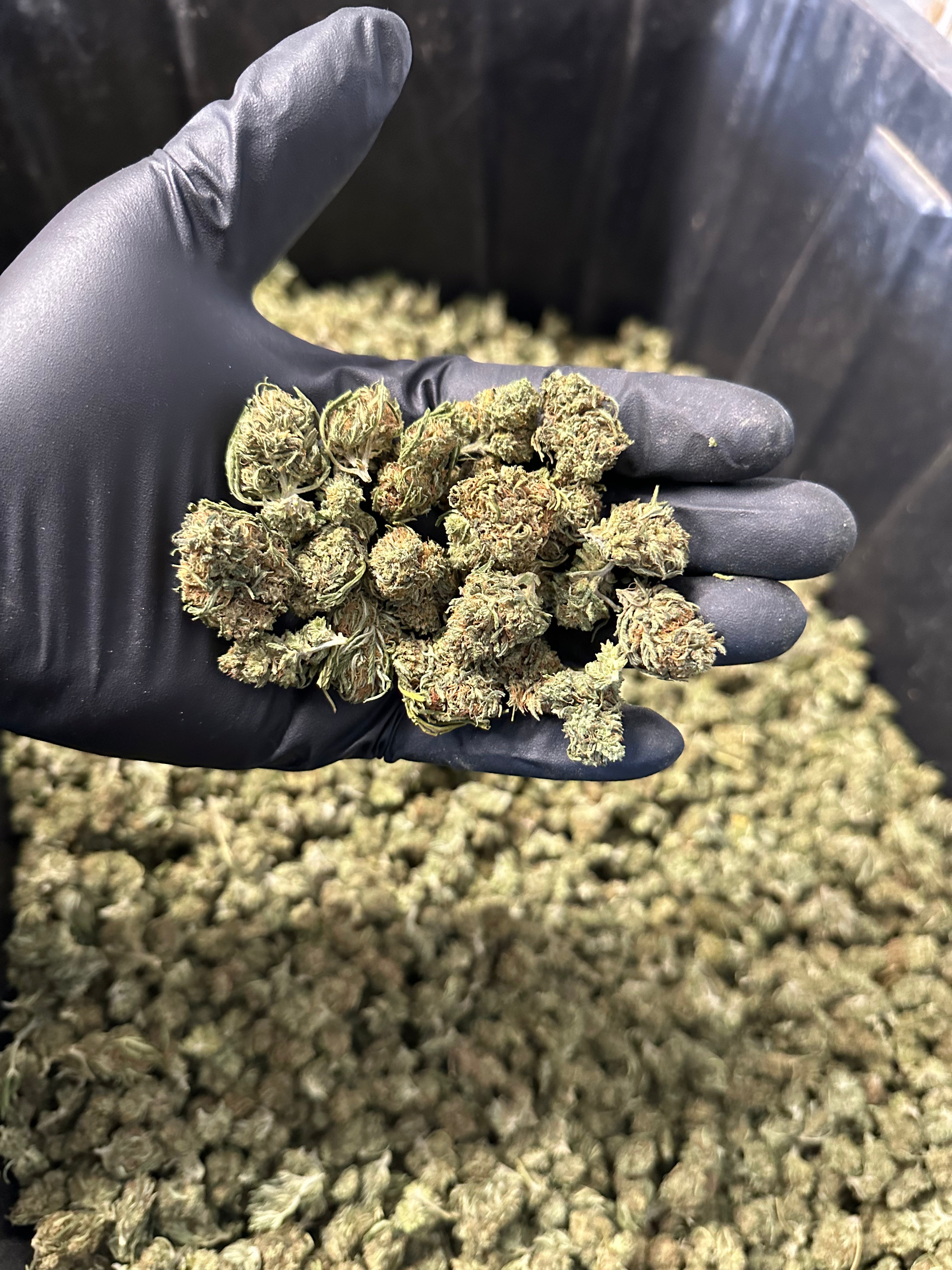 Cake Berry Hemp Flower Smalls